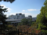 IMG_3228.JPG